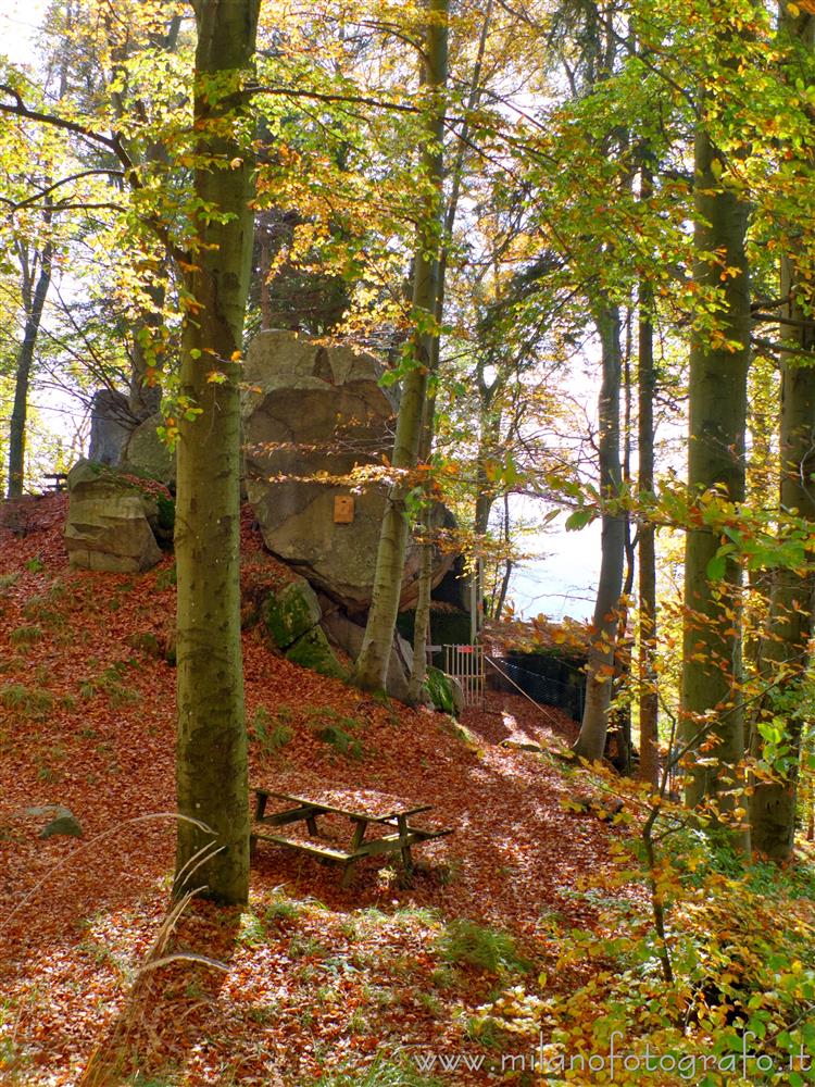 Valdilana - Campiglia Cervo (Biella) - Postazione pic nic nel bosco subito sotto alla Panoramica Zegna sopra Piaro